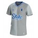 Everton Ashley Young #18 Replica Third Shirt 2023-24 Short Sleeve